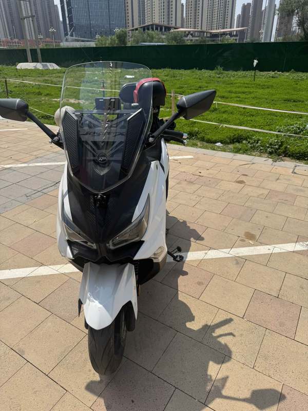 二手三阳Joymax Z 300