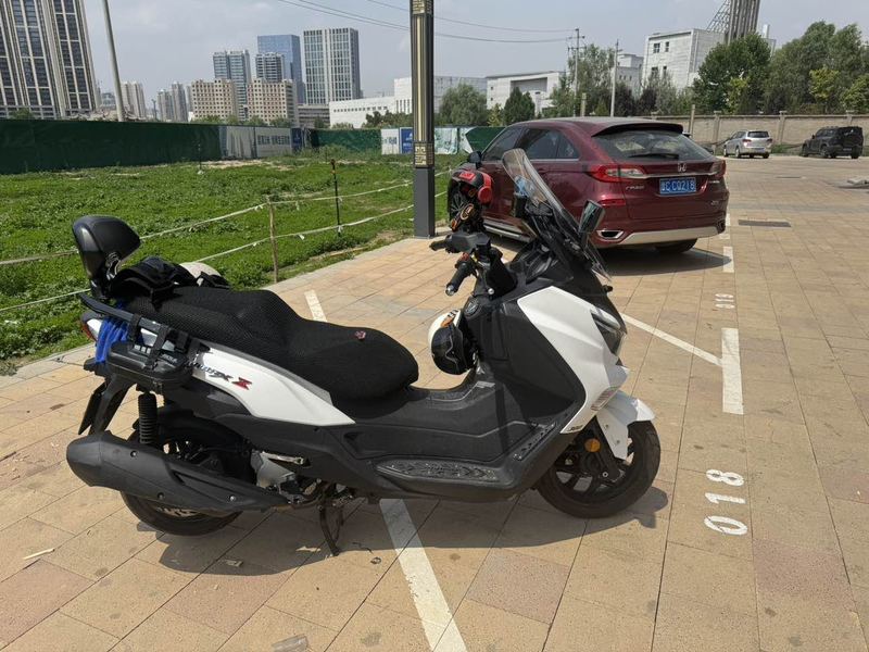 二手三阳Joymax Z 300