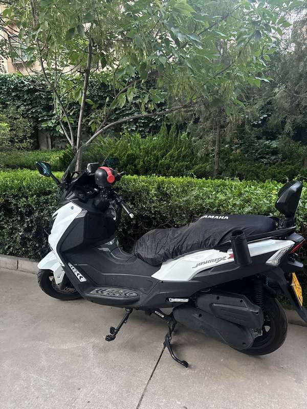 二手三阳Joymax Z 300