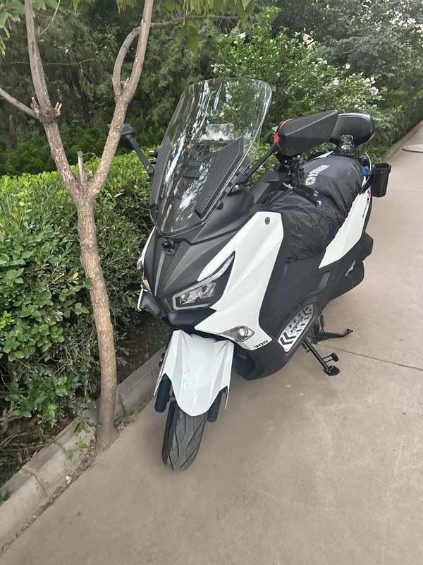 二手三阳Joymax Z 300