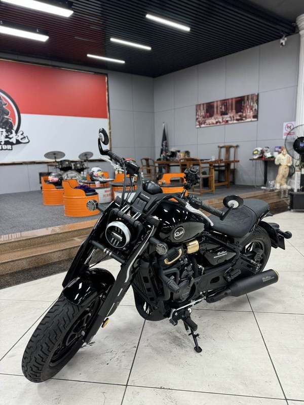 二手赛科龙RA600