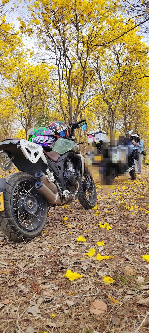 二手凯越500F