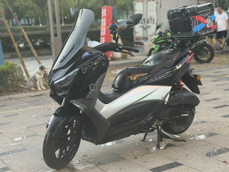 二手力帆蓝鲟