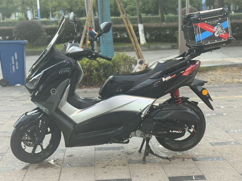 二手力帆蓝鲟