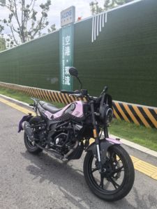 二手贝纳利幼狮 Leoncino 150