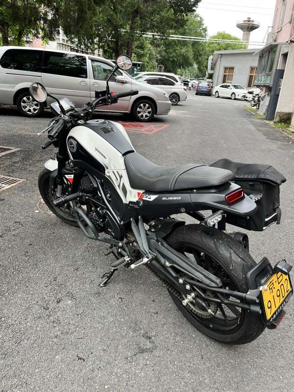 二手贝纳利幼狮 Leoncino 250