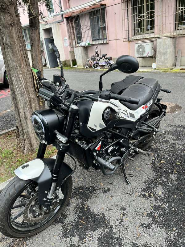 二手贝纳利幼狮 Leoncino 250