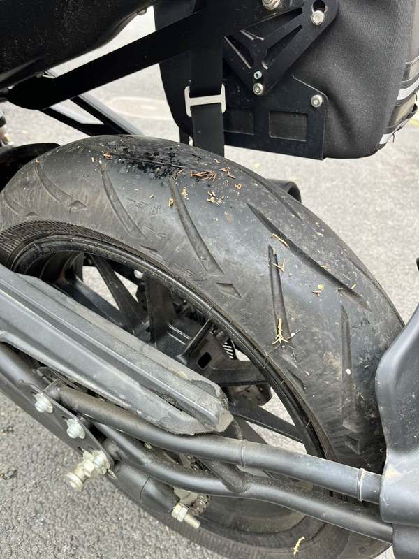 二手贝纳利幼狮 Leoncino 250