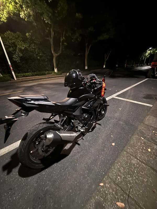 二手豪爵铃木GSX250R