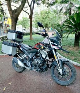 二手赛科龙RX1S