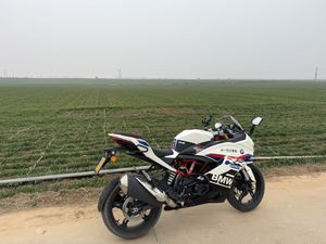 二手宝马G 310 RR
