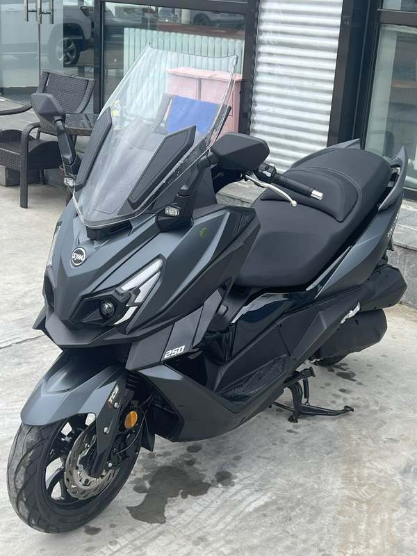 二手三阳巡弋 Cruisym250