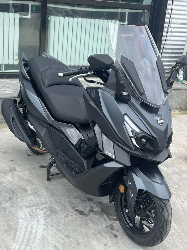 二手三阳巡弋 Cruisym250