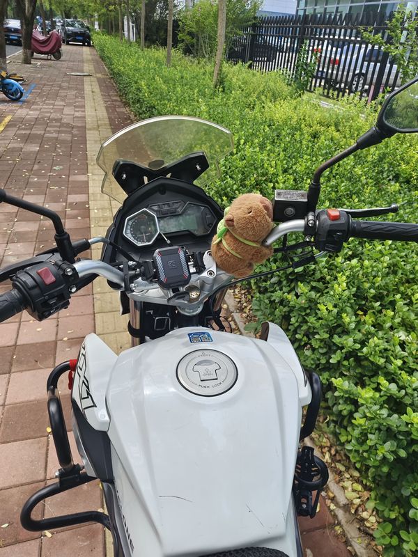 二手赛科龙RX1S