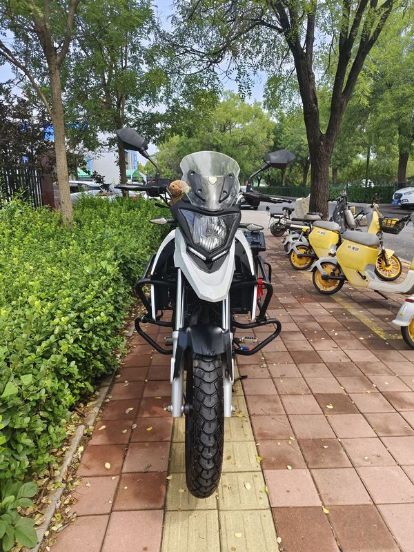二手赛科龙RX1S
