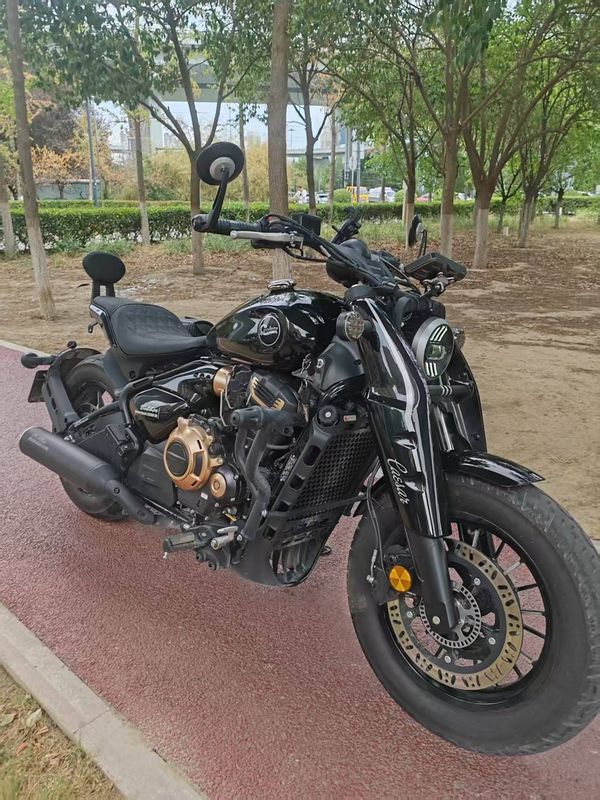 二手赛科龙RA600