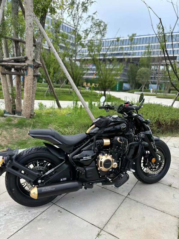 二手赛科龙RA600