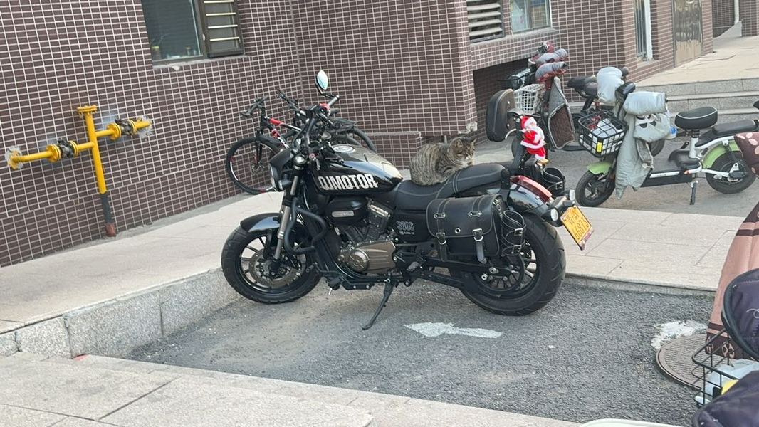 二手QJMOTOR闪300