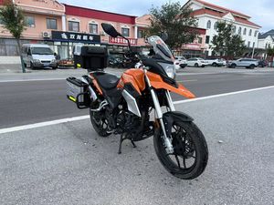 二手赛科龙RX1