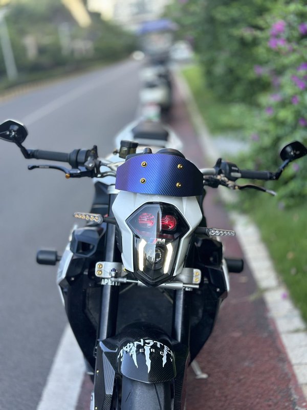 二手宝马S 1000 R