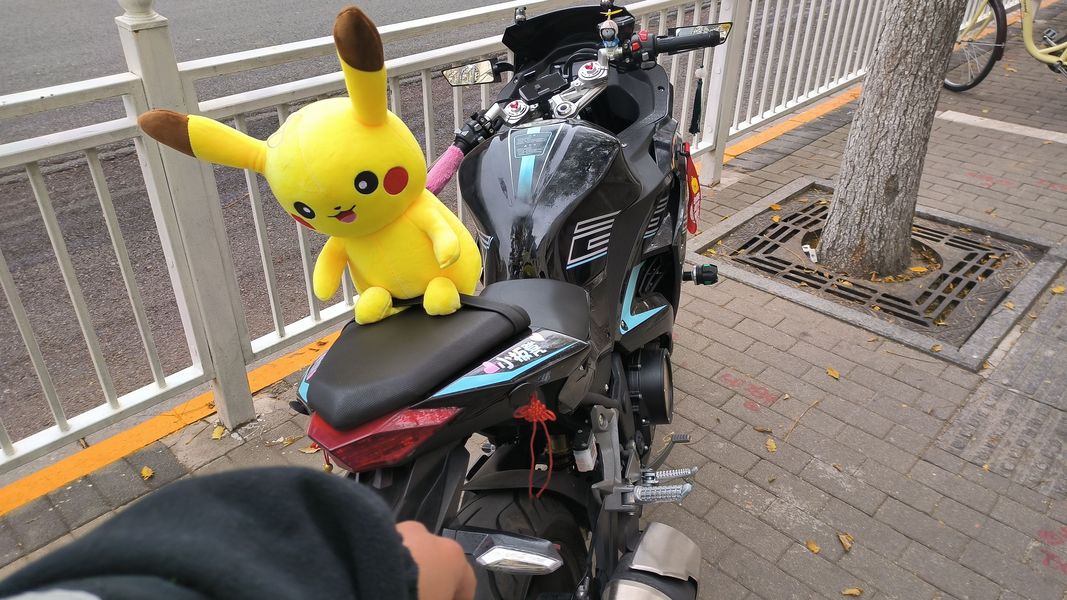 二手诺马魅影 255S