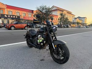二手摩枭500MS