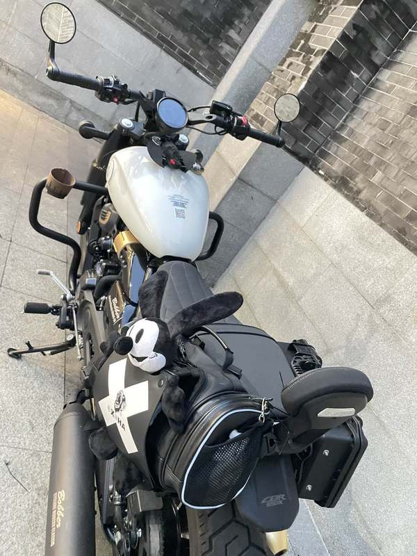 二手赛科龙RA600