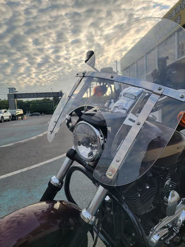 二手哈雷戴维森1200 Custom