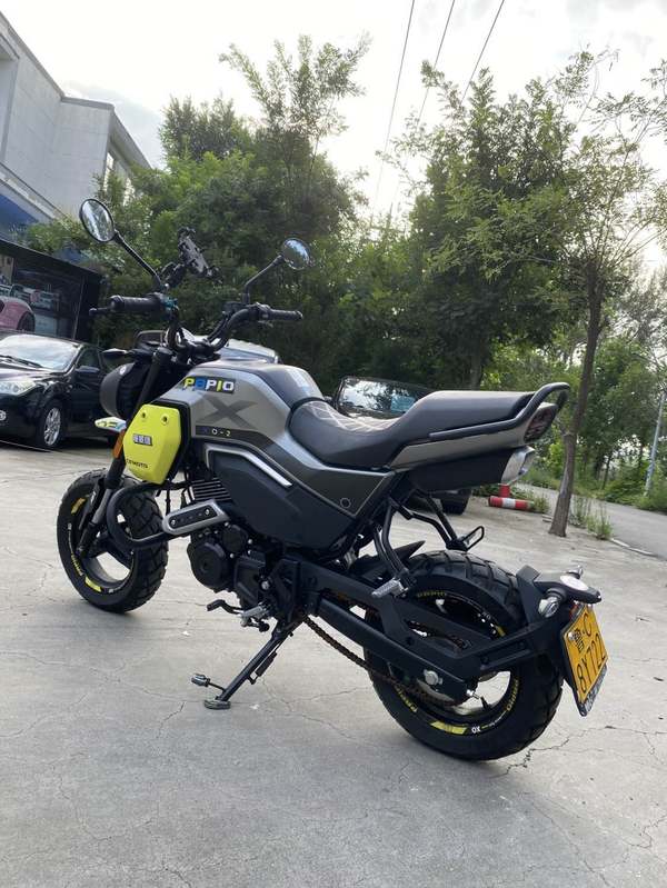 二手春风XO狒狒