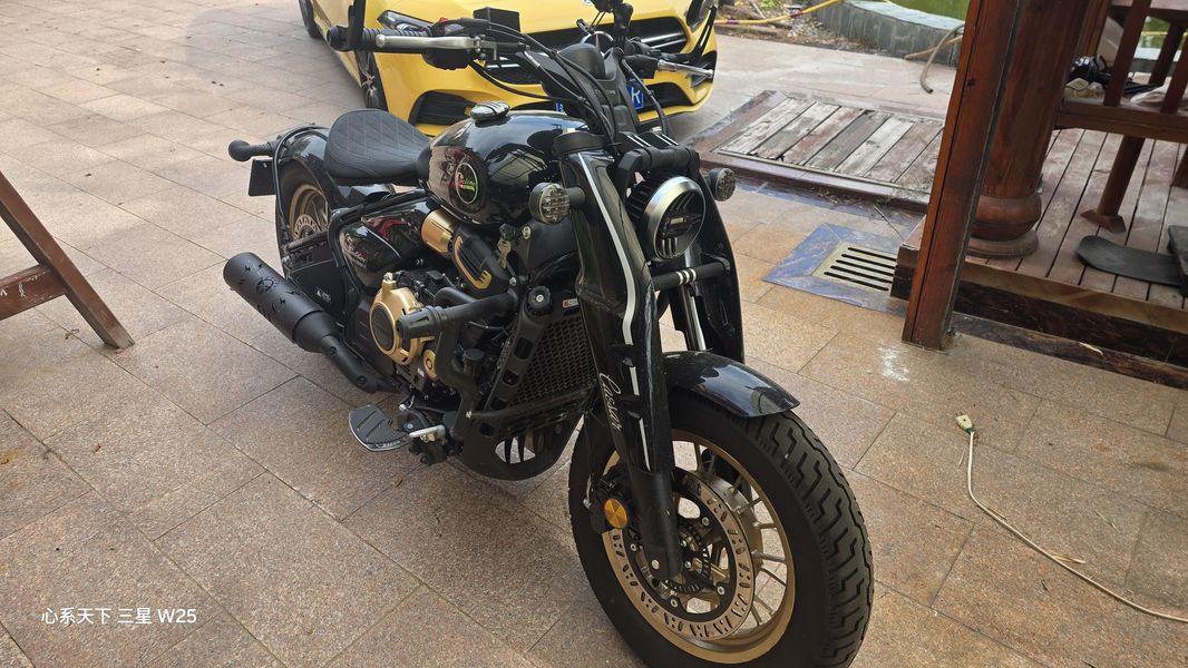 二手赛科龙RA600