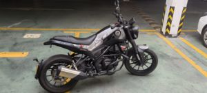 二手贝纳利幼狮 Leoncino 250