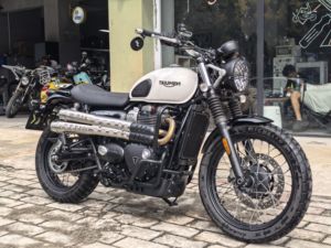 二手凯旋Scrambler 900