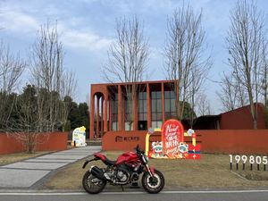 二手杜卡迪Monster 821