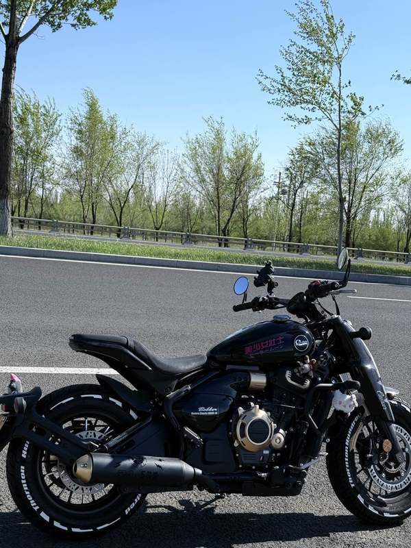 二手赛科龙RA600