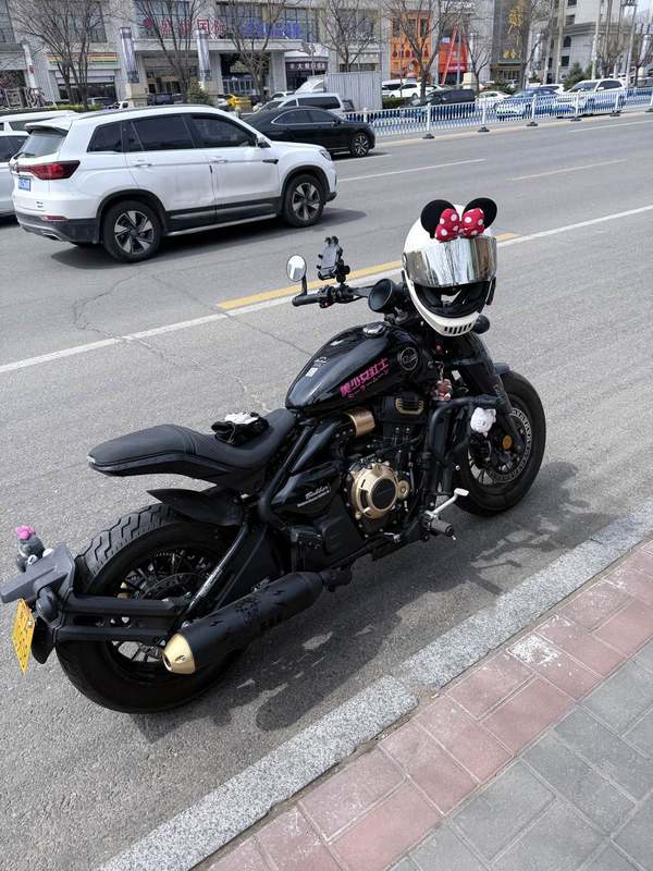 二手赛科龙RA600