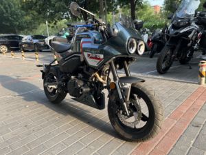 二手春风XO狒狒