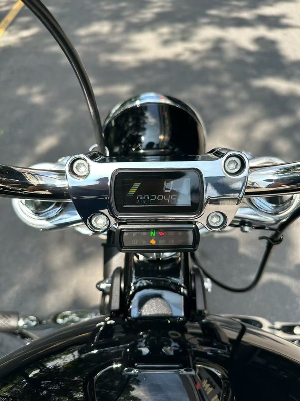 二手哈雷戴维森Softail Standard