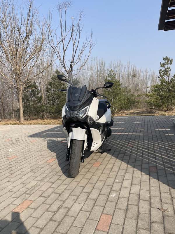 二手三阳Joymax F 300