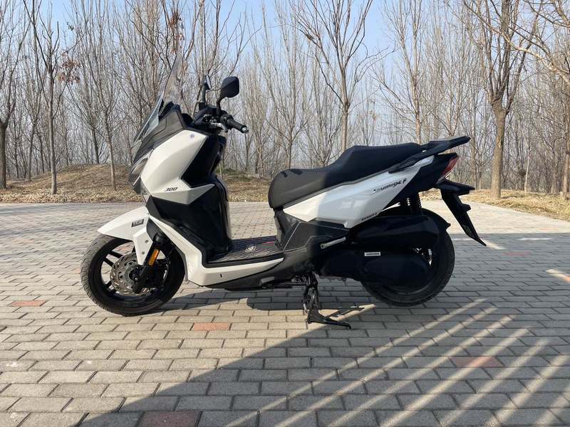 二手三阳Joymax F 300