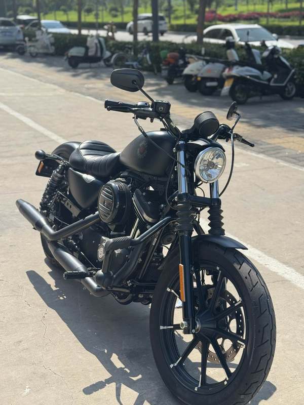二手哈雷戴维森Iron883 硬汉
