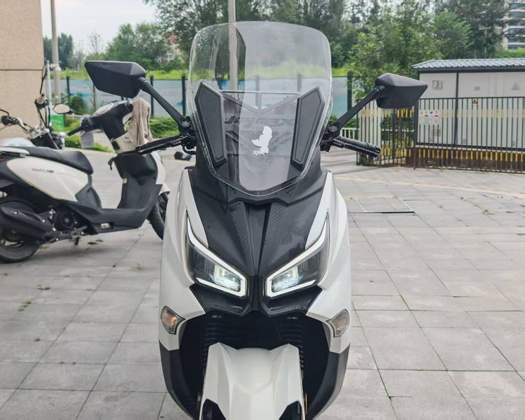 二手三阳Joymax Z 300