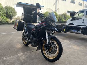 二手赛科龙RX600