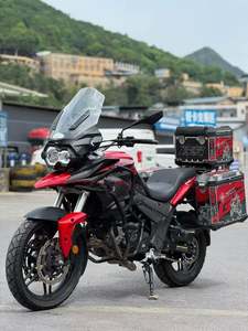 二手赛科龙RX3S