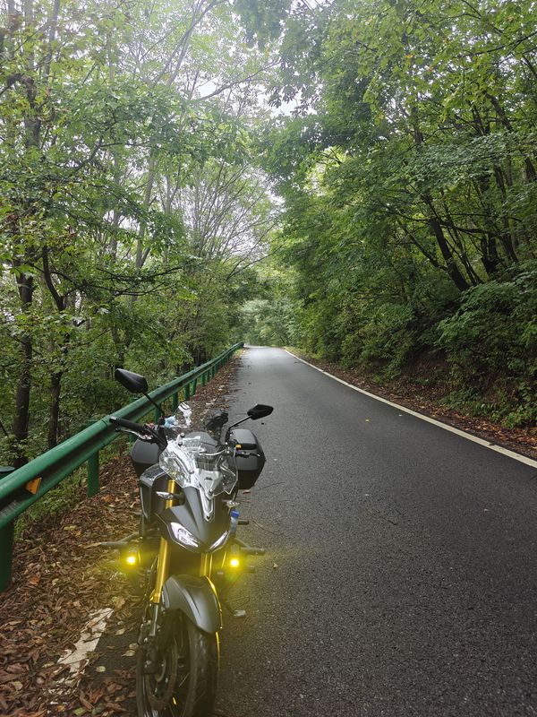 二手豪爵XCR300