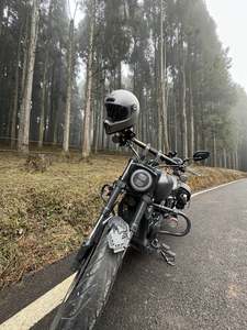 二手龙嘉V霸250