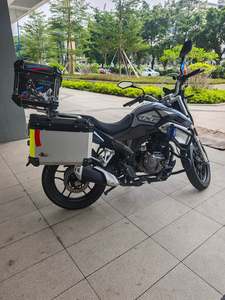 二手赛科龙RX1S