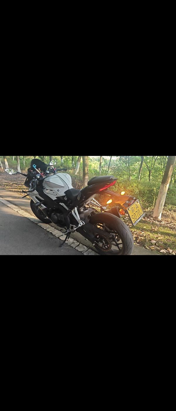 二手贝纳利龙卷风 Tornado 302R