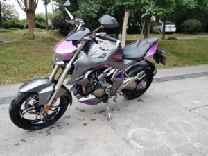 二手升仕310R