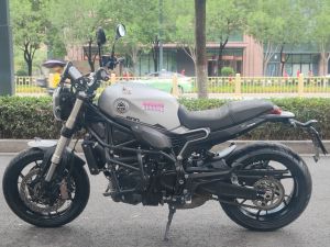 二手贝纳利幼狮 Leoncino 800