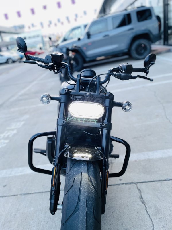 二手哈雷戴维森Sportster S